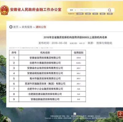 亳州市擔保公司榮獲2018年全省融資擔保機構信用評級AA+級別